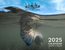 Load image into Gallery viewer, Book Cover Variant Thumbnail