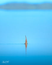 Load image into Gallery viewer, Pride of the Shallows