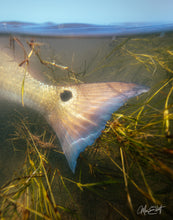 Load image into Gallery viewer, Sea Grass Paradise