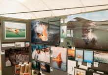 Load image into Gallery viewer, Wall display of various photographs and prints in a gallery setting.