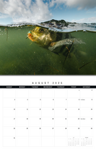 Load image into Gallery viewer, Mac Elliott Media 2025 Calendar