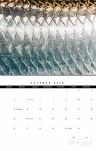 Load image into Gallery viewer, Mac Elliott Media 2025 Calendar