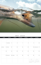 Load image into Gallery viewer, Mac Elliott Media 2025 Calendar