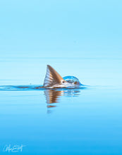 Load image into Gallery viewer, Flat Water Splash