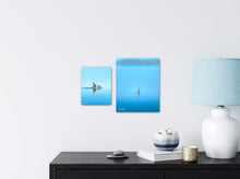 Load image into Gallery viewer, Pride of the Shallows