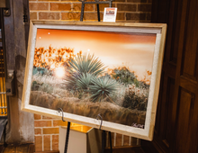 Load image into Gallery viewer, Barnwood framed Spanish Dagger photograph.