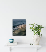 Load image into Gallery viewer, Jewel of the Bay