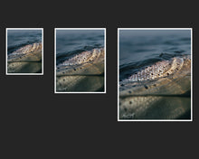 Load image into Gallery viewer, Jewel of the Bay