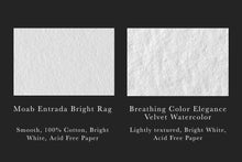 Load image into Gallery viewer, Tarpon Study