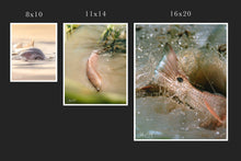 Load image into Gallery viewer, One Last Cast