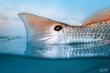 Load image into Gallery viewer, Copper and Crystal