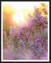 Load image into Gallery viewer, Purple Perfume