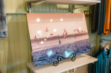 Load image into Gallery viewer, Roseates at Sunset