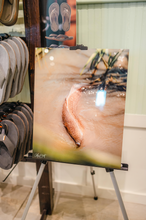 Load image into Gallery viewer, Marsh Hide Out