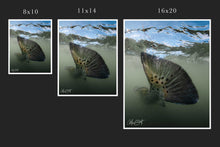 Load image into Gallery viewer, Silver Speckles