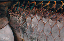 Load image into Gallery viewer, Tarpon Armor