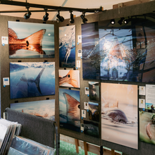 Load image into Gallery viewer, Show booth featuring artwork at Rockport Art Festival.
