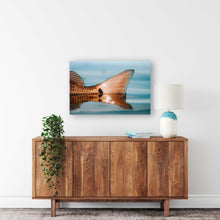 Load image into Gallery viewer, Redfish print on metal on a white wall.
