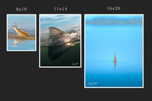 Load image into Gallery viewer, Trout Tail
