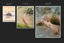 Load image into Gallery viewer, One Last Cast
