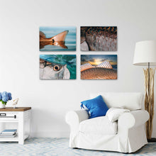 Load image into Gallery viewer, Tarpon Study
